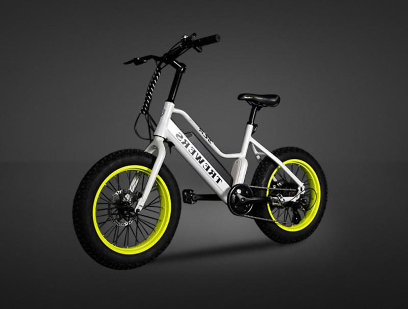 ELECTRIC BIKE/PEDELEC-TS-EB002